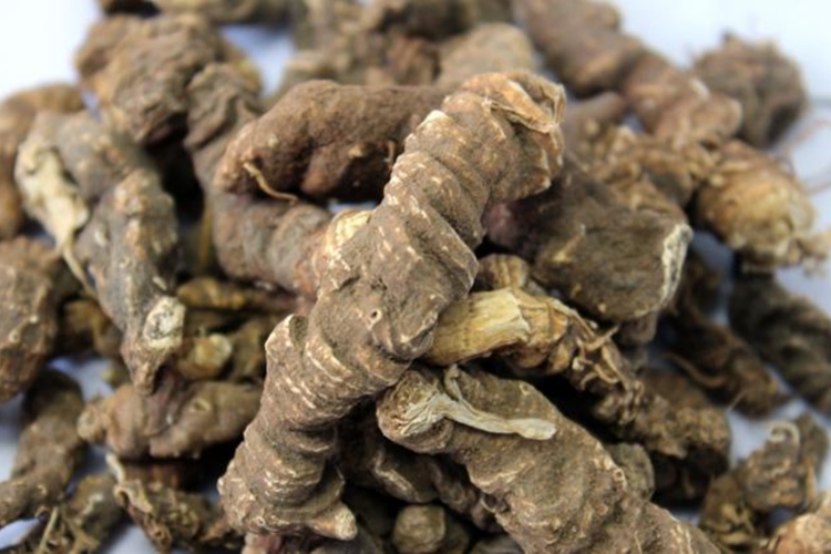 中药野生七叶一枝花图