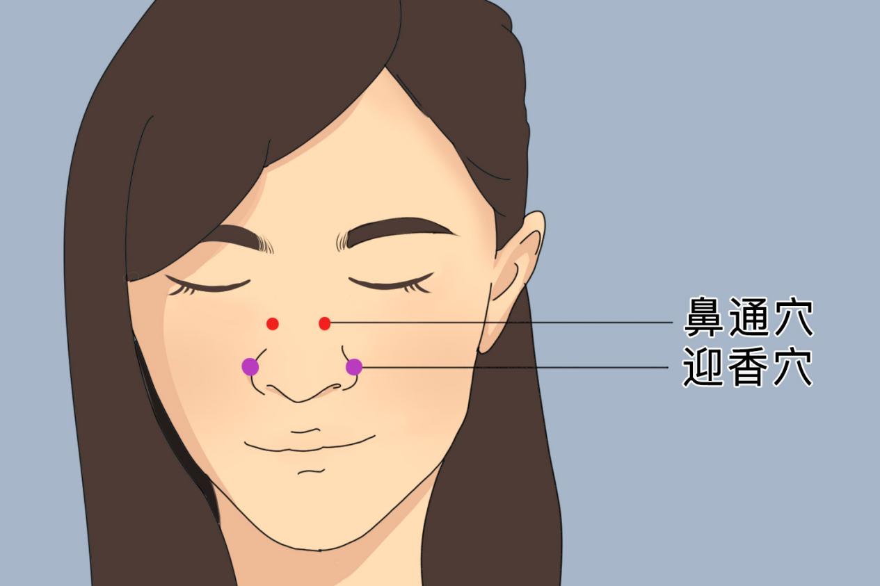 鼻通穴图