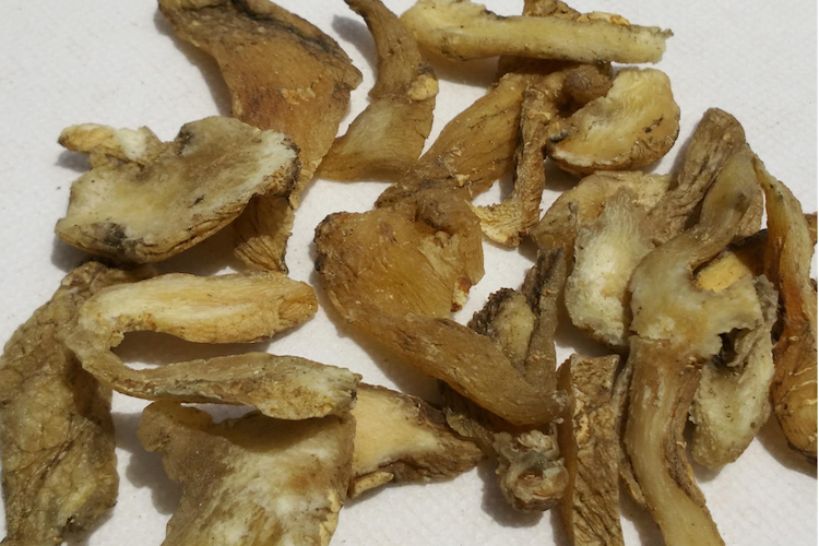 黄精饮片图 黄精饮片图