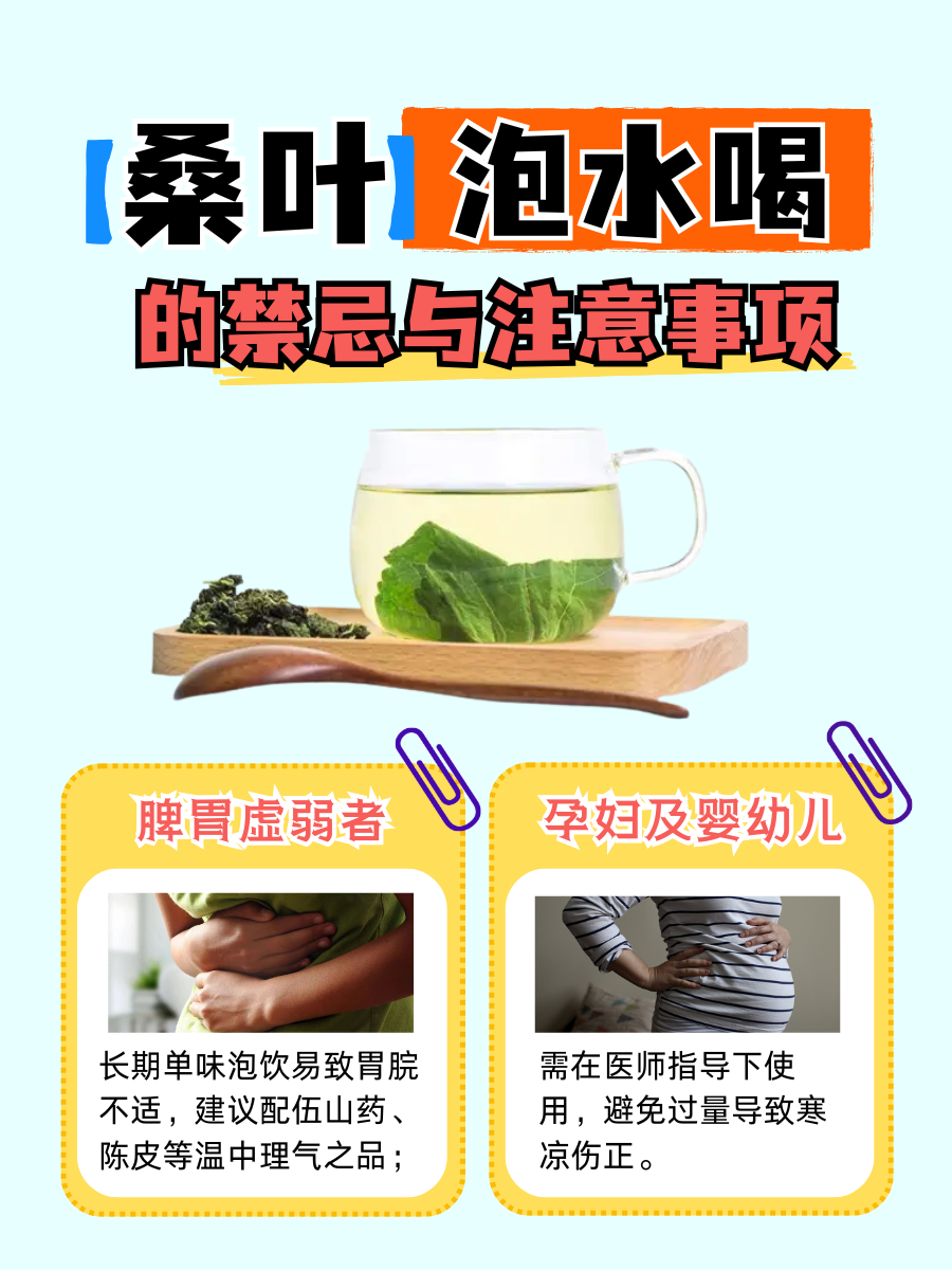 桑叶泡水喝有什么功效?很多人还不知道