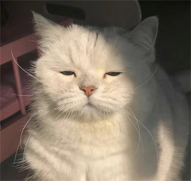 北京望京医院何生奇医生怎么样?怎么挂号?