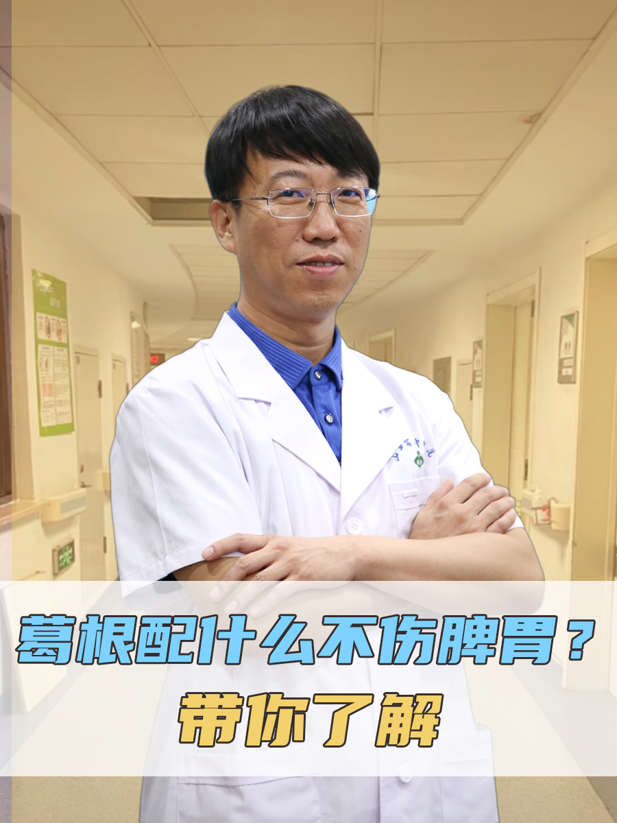 葛根配什么不伤脾胃?带你了解