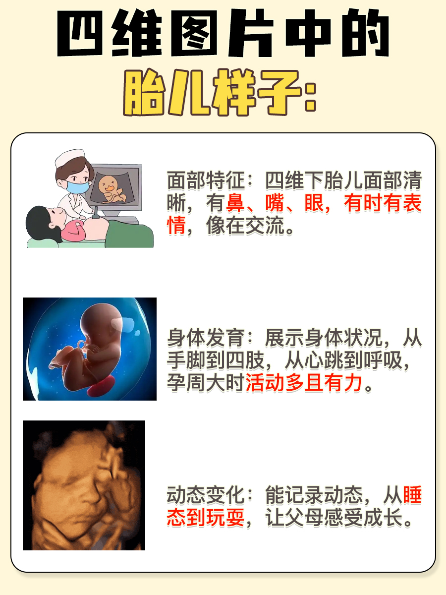 四维图片胎儿全图