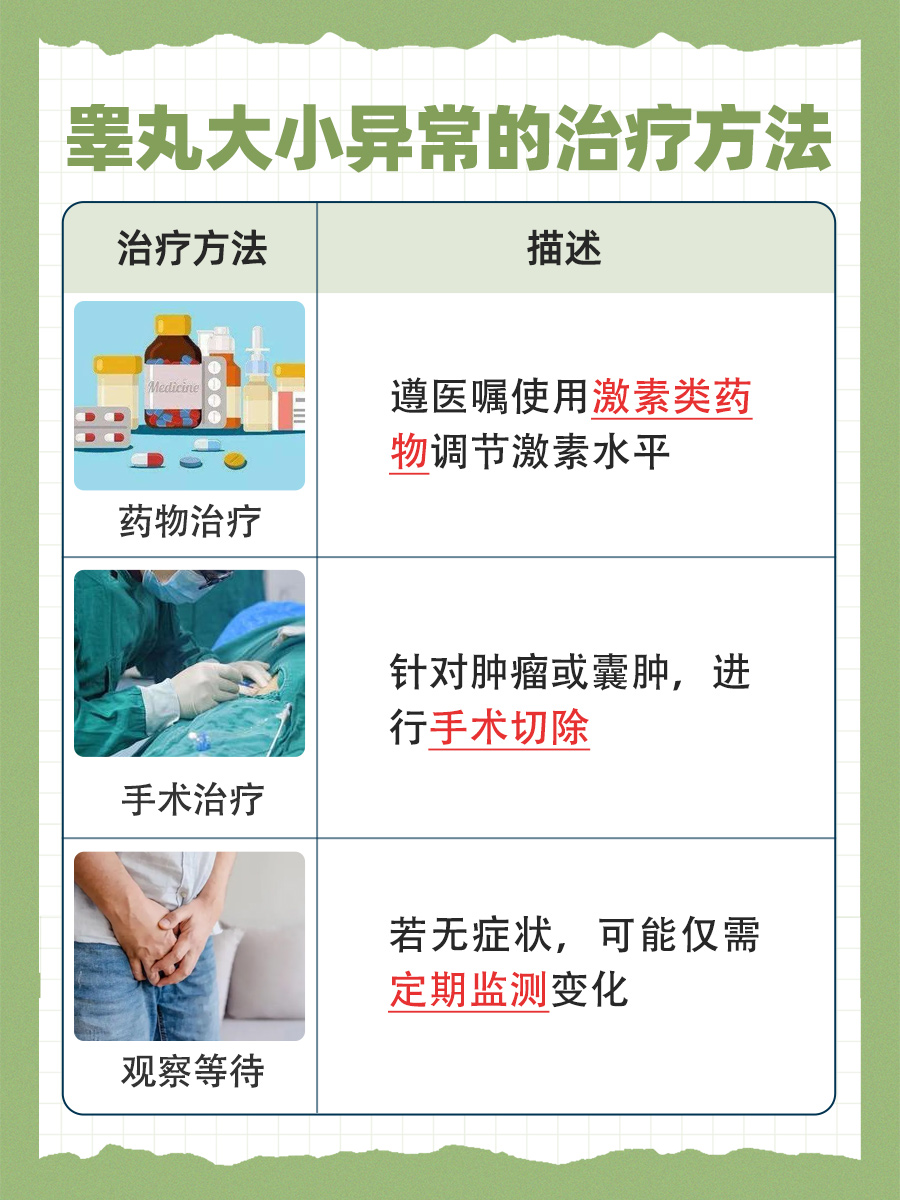 正常睾丸大小参照物