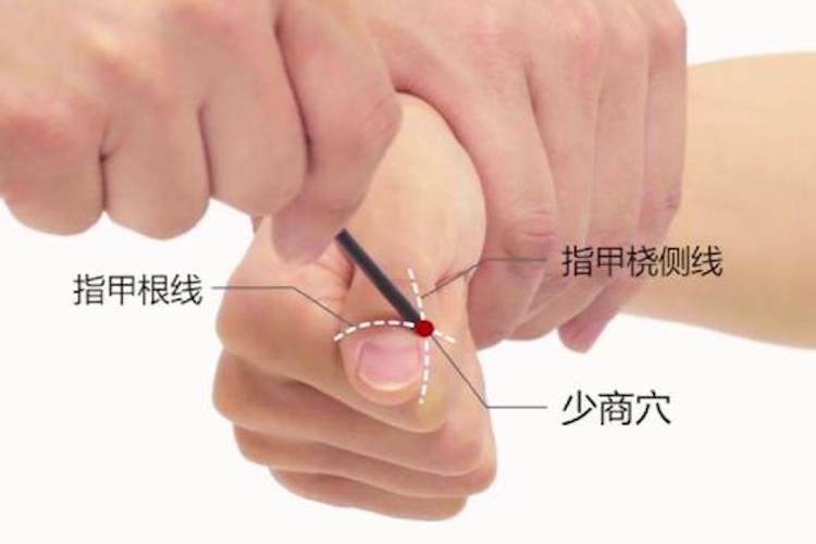 少商穴位置图