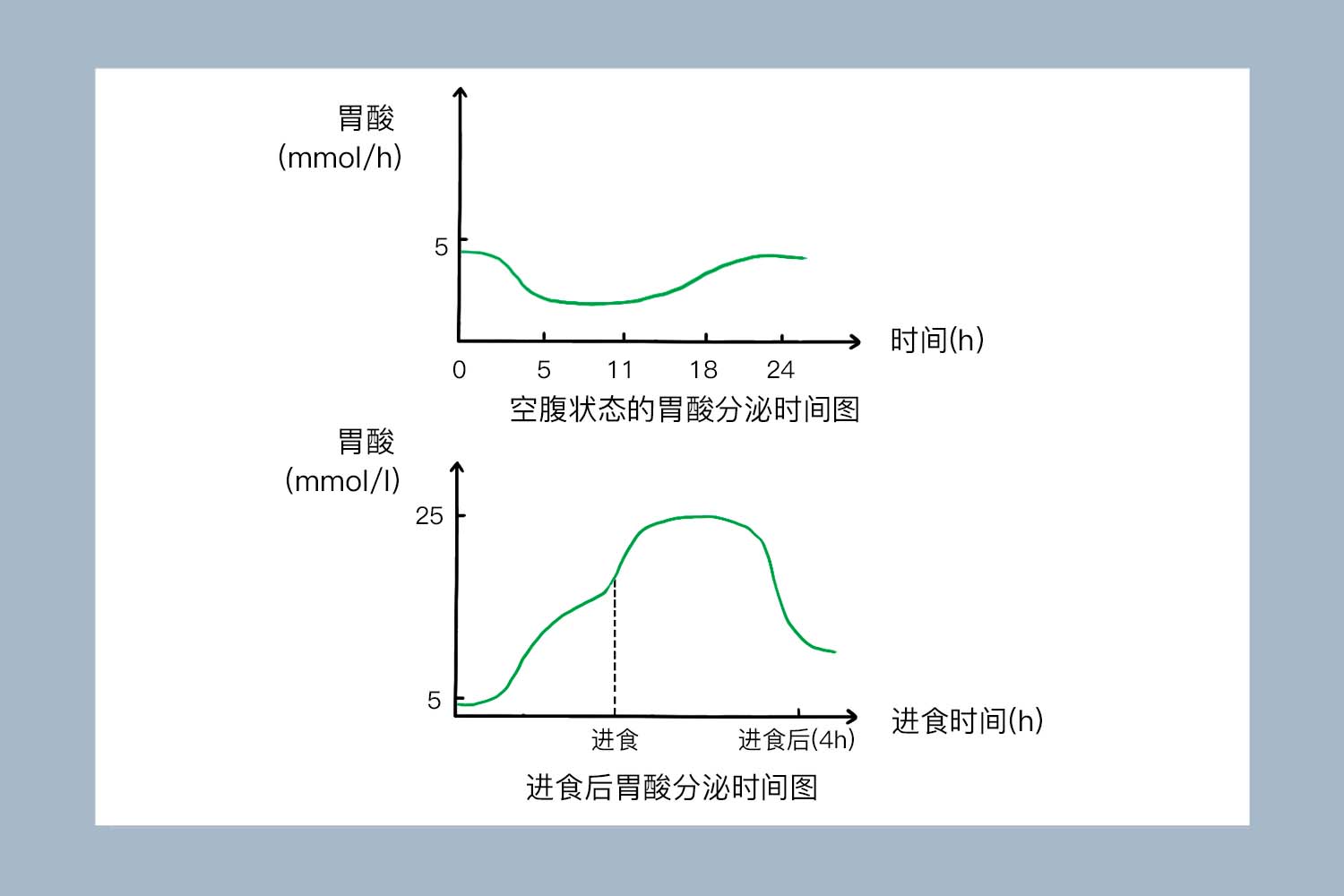 一天胃酸分泌时间图