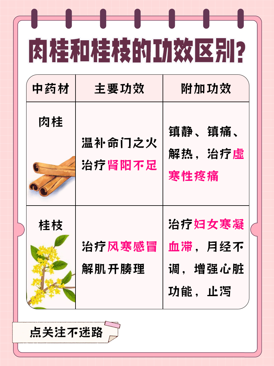 医生揭秘！肉桂VS桂枝，功效大不同！