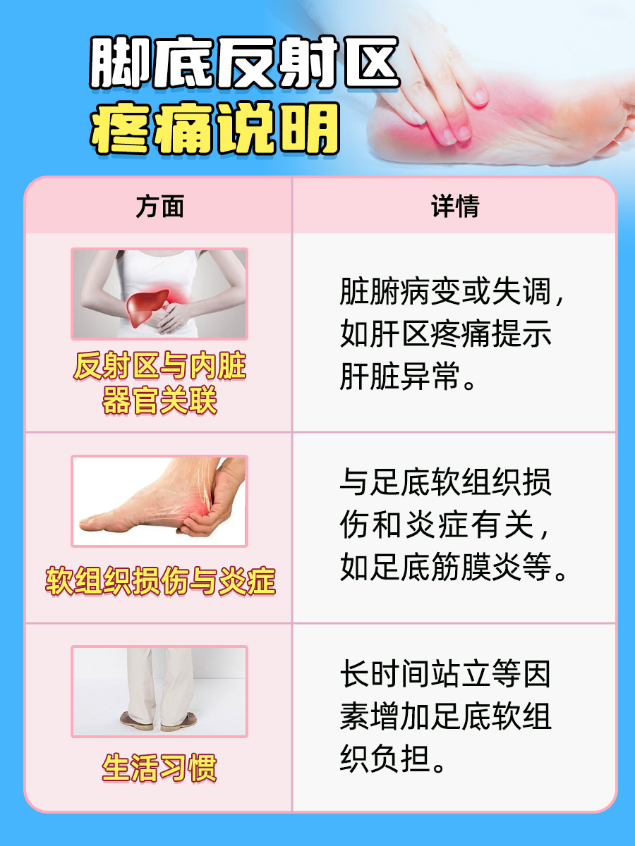 医生带你了解：脚底反射区疼痛说明