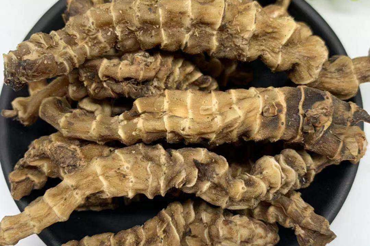 虫草参(药材图) 虫草参(药材图)