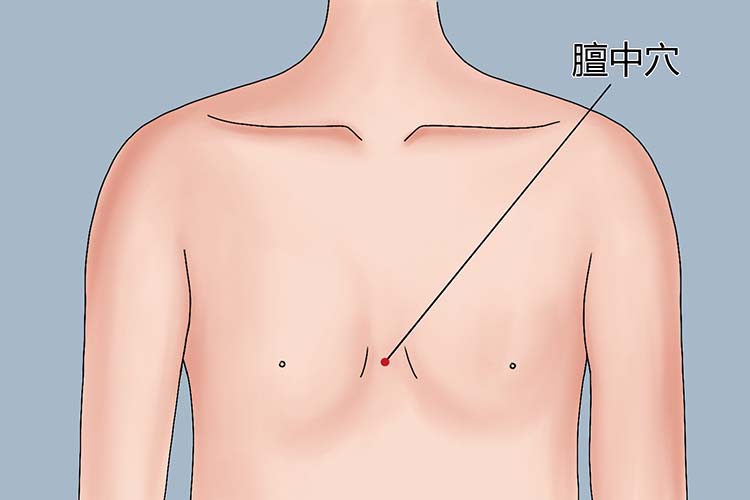 膻中穴位置图