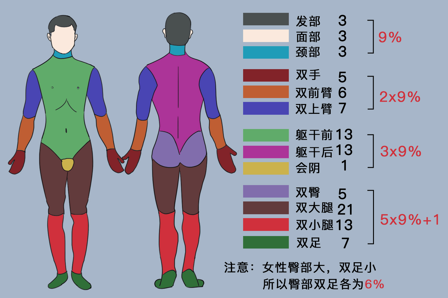 烧伤9分法图片图片