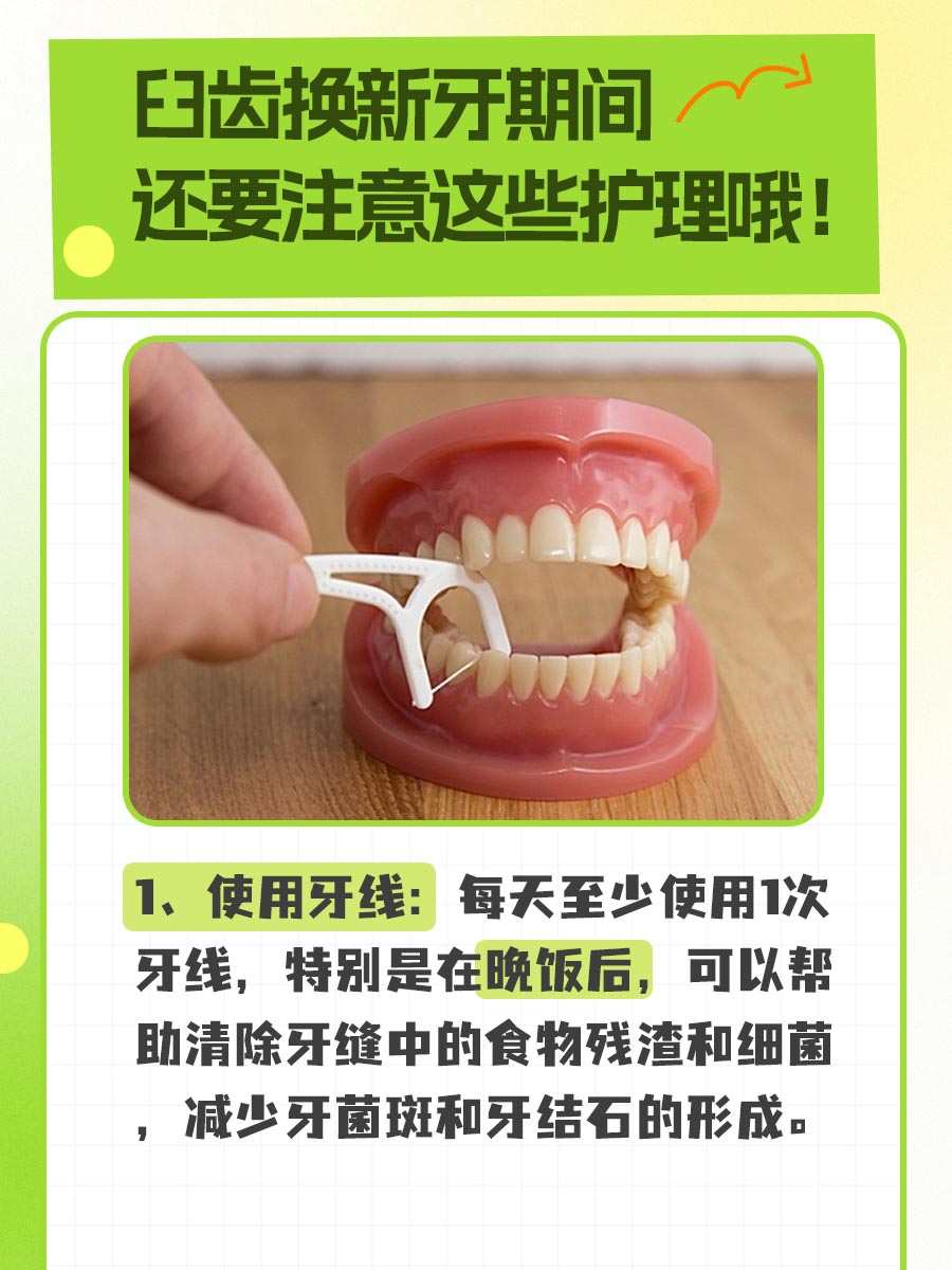 磨牙会换新牙吗？一文说清！