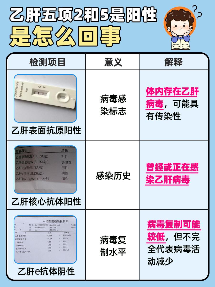 乙肝五项阳性解读:2和5阳性意味着什么
