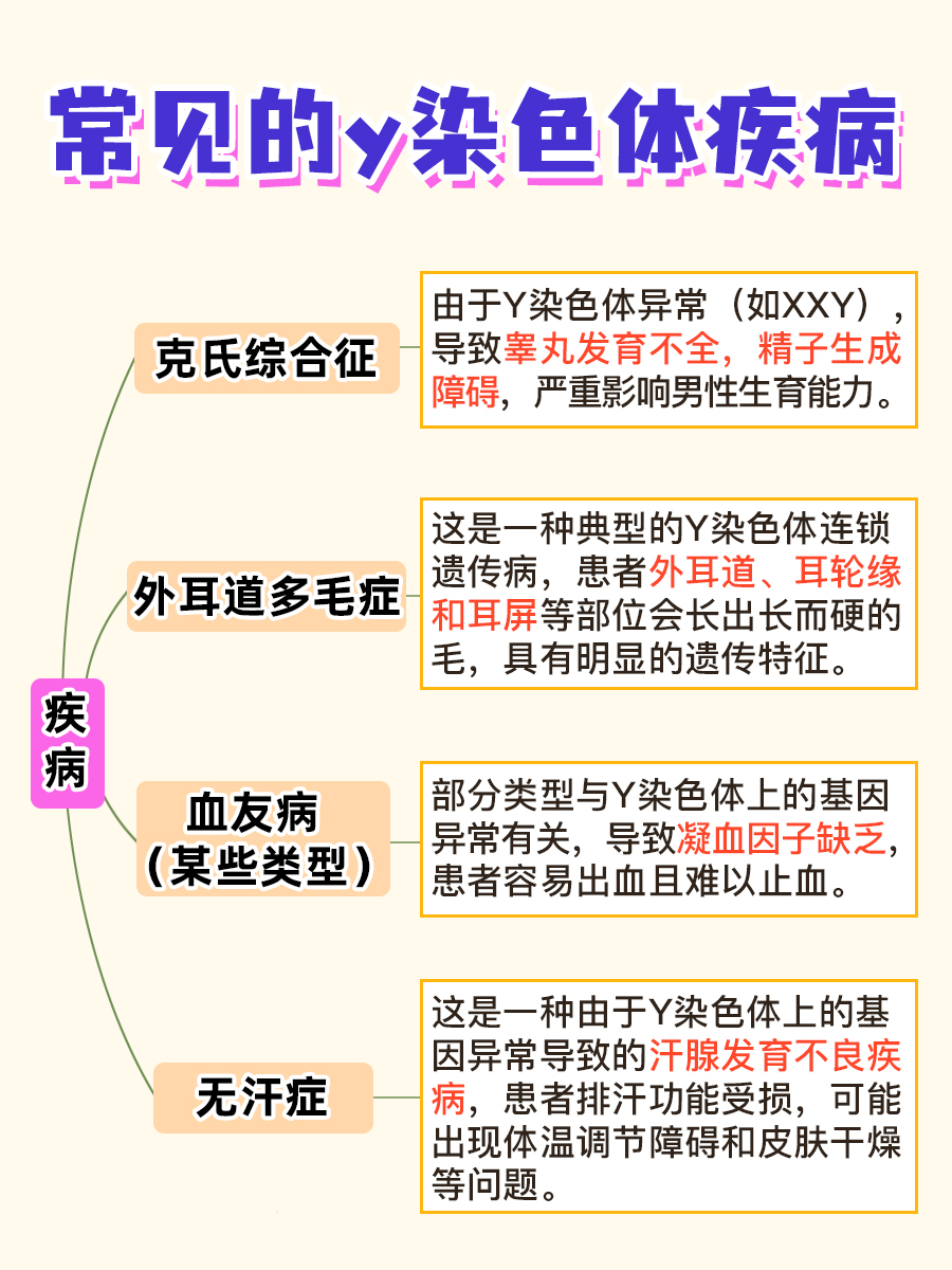 xy染色体是男是女，从专业角度分析