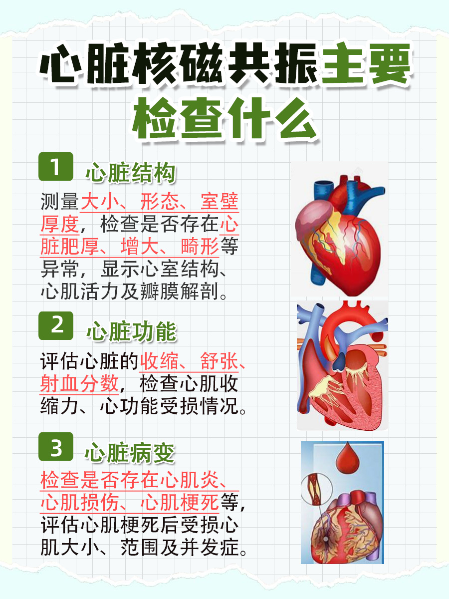 一文带你了解,心脏核磁共振主要检查什么