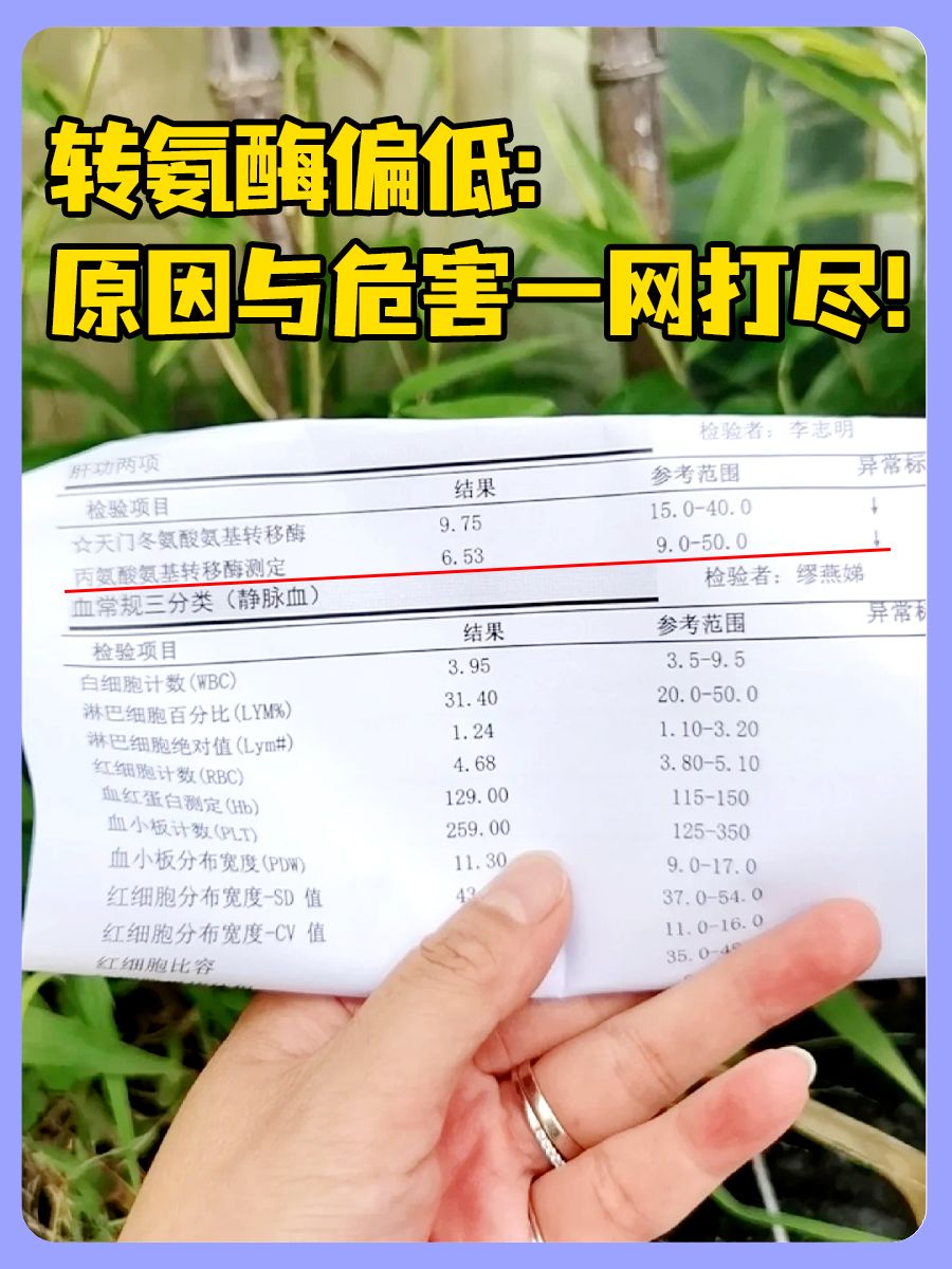 转氨酶偏低:原因与危害一网打尽!