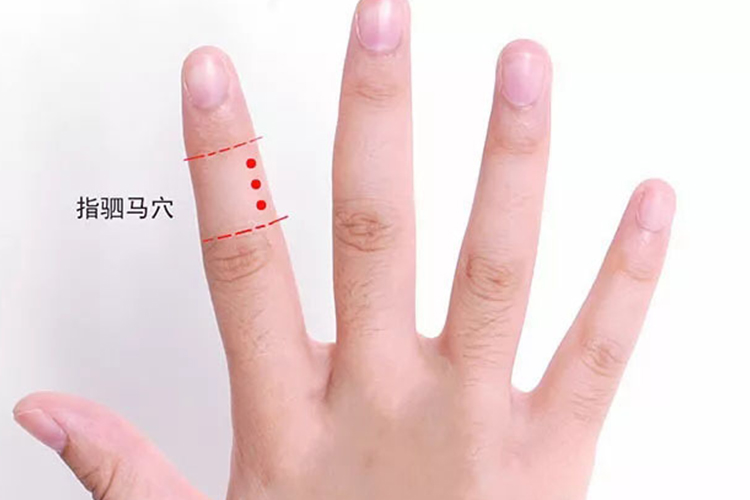 指驷马准确位置图