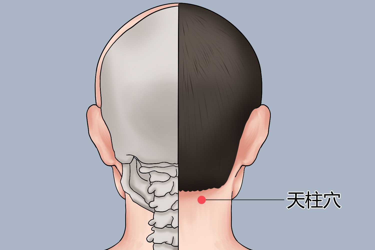 天柱的位置图片图片