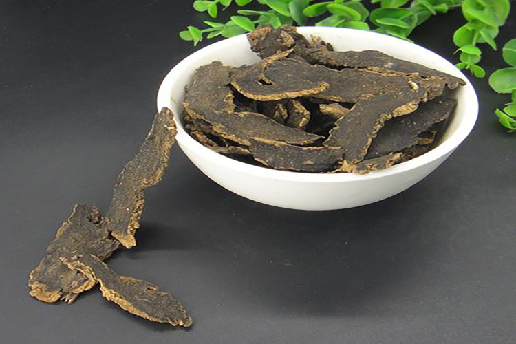 玄参饮片图 玄参饮片图