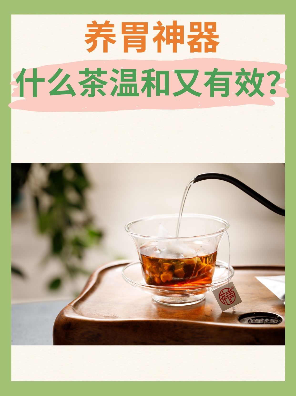 养胃神器,什么茶温和又有效?