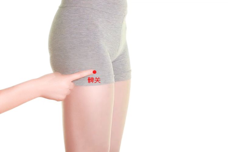髀关位置图