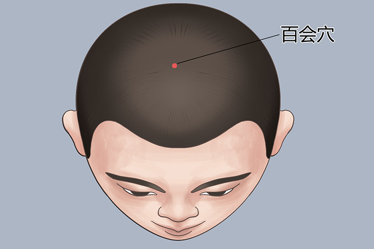百会穴位置图