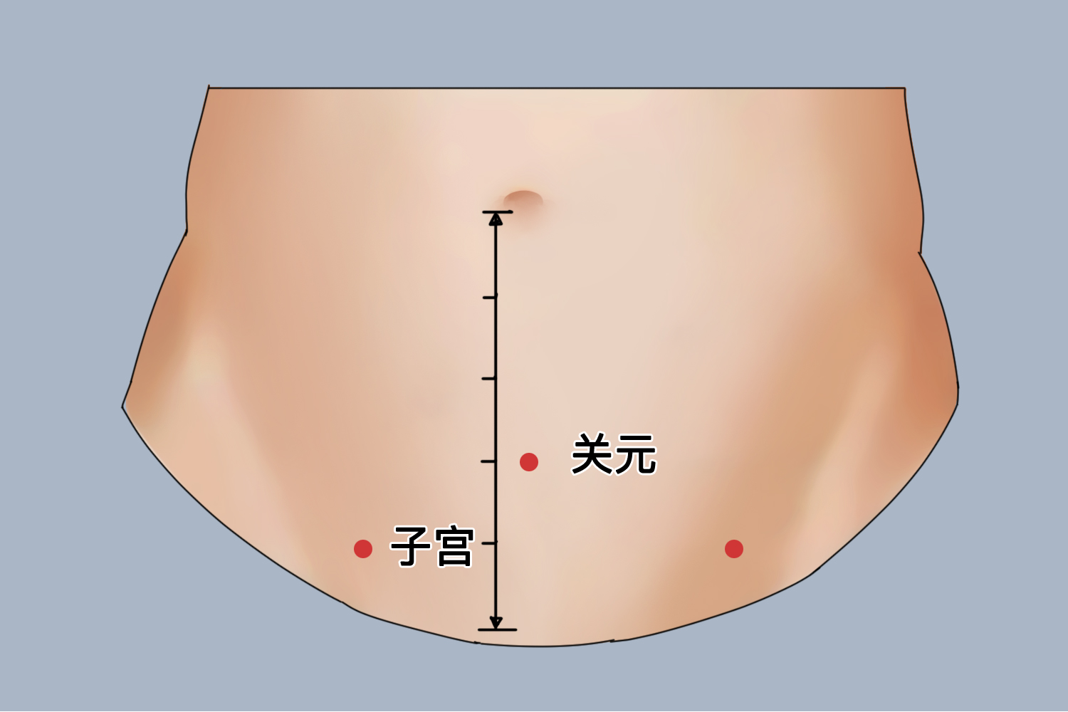 艾灸关元、子宫穴位置图