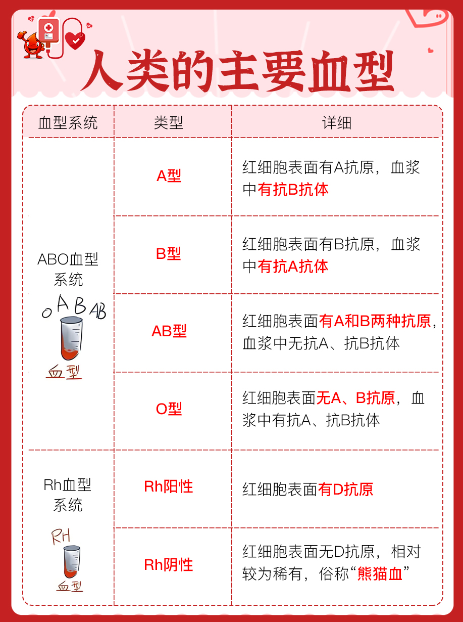 血型鉴定多少钱一次?费用详解