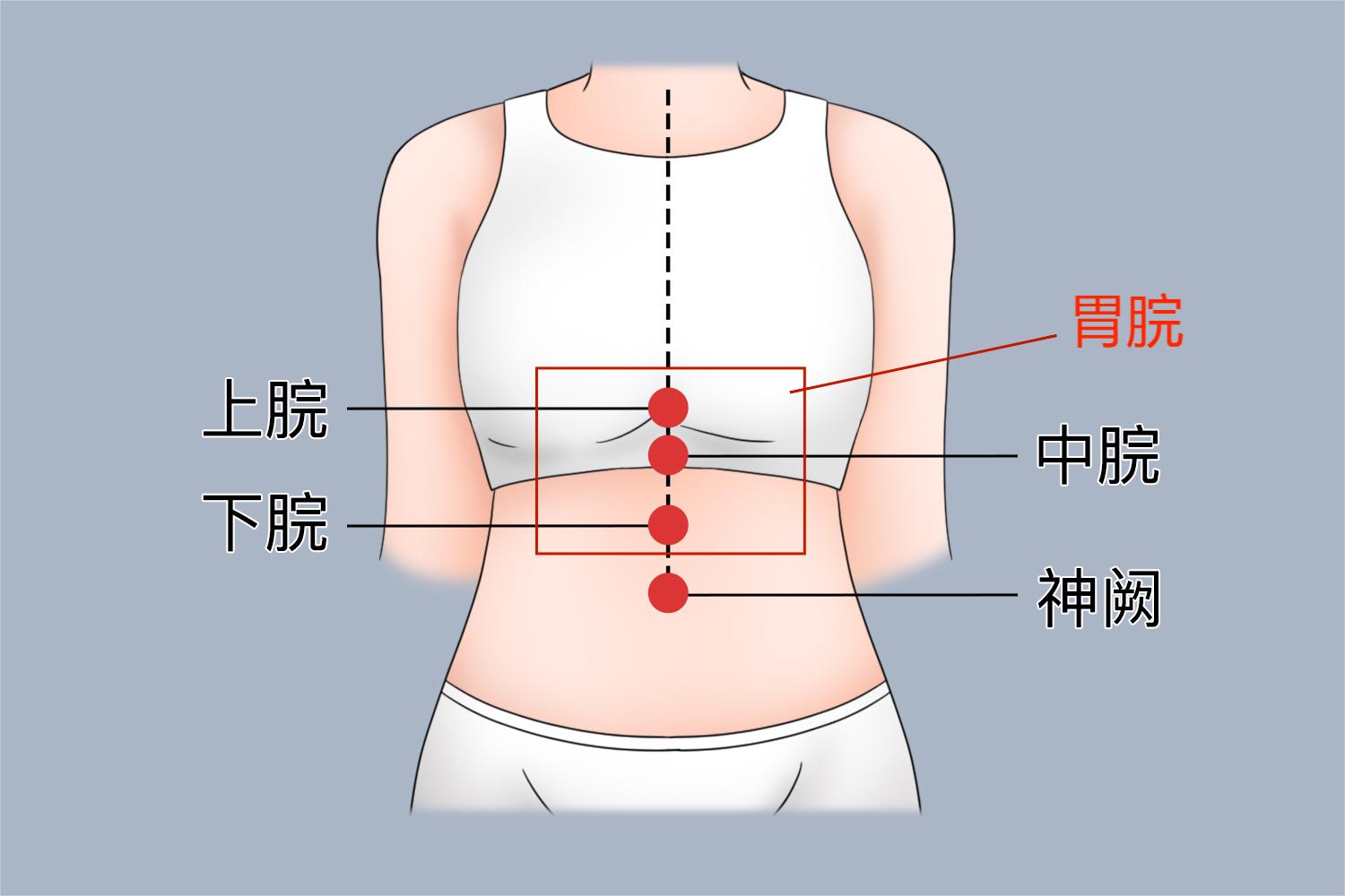 胃脘部位置图片