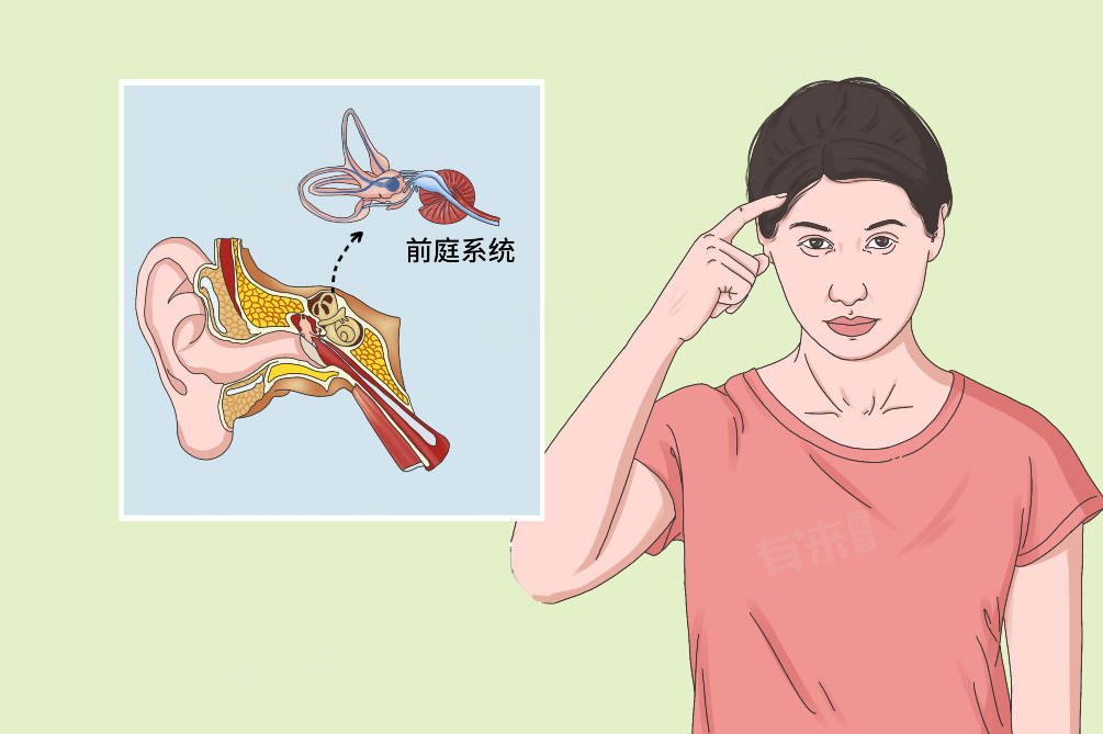 前庭功能是什么