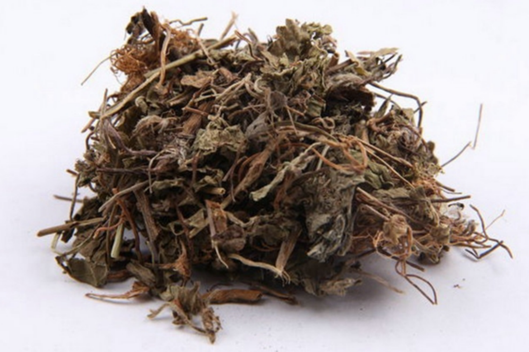 地星秀草的图片与功效