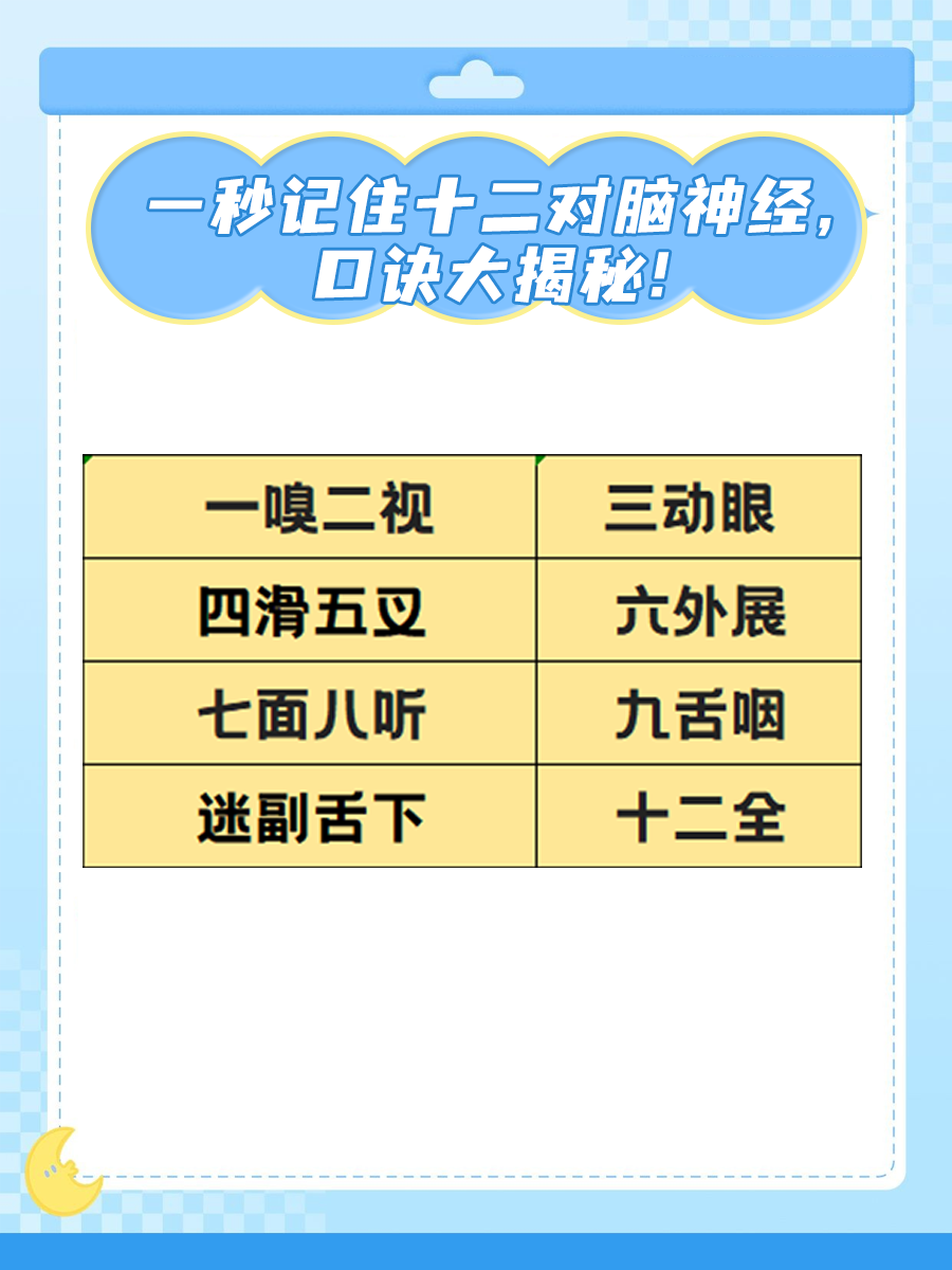一秒记住十二对脑神经，口诀来啦！