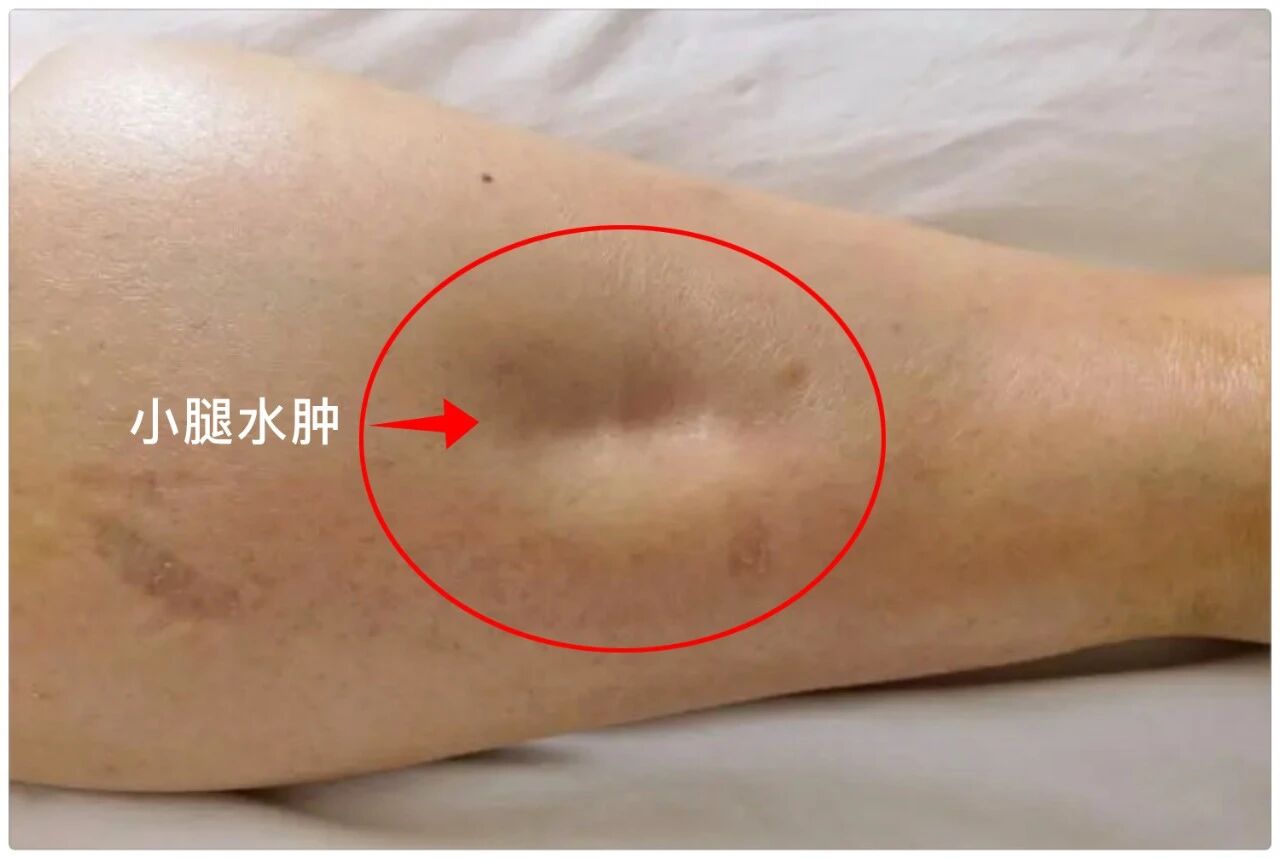 微信图片_2026-09-02_134528_962.jpg