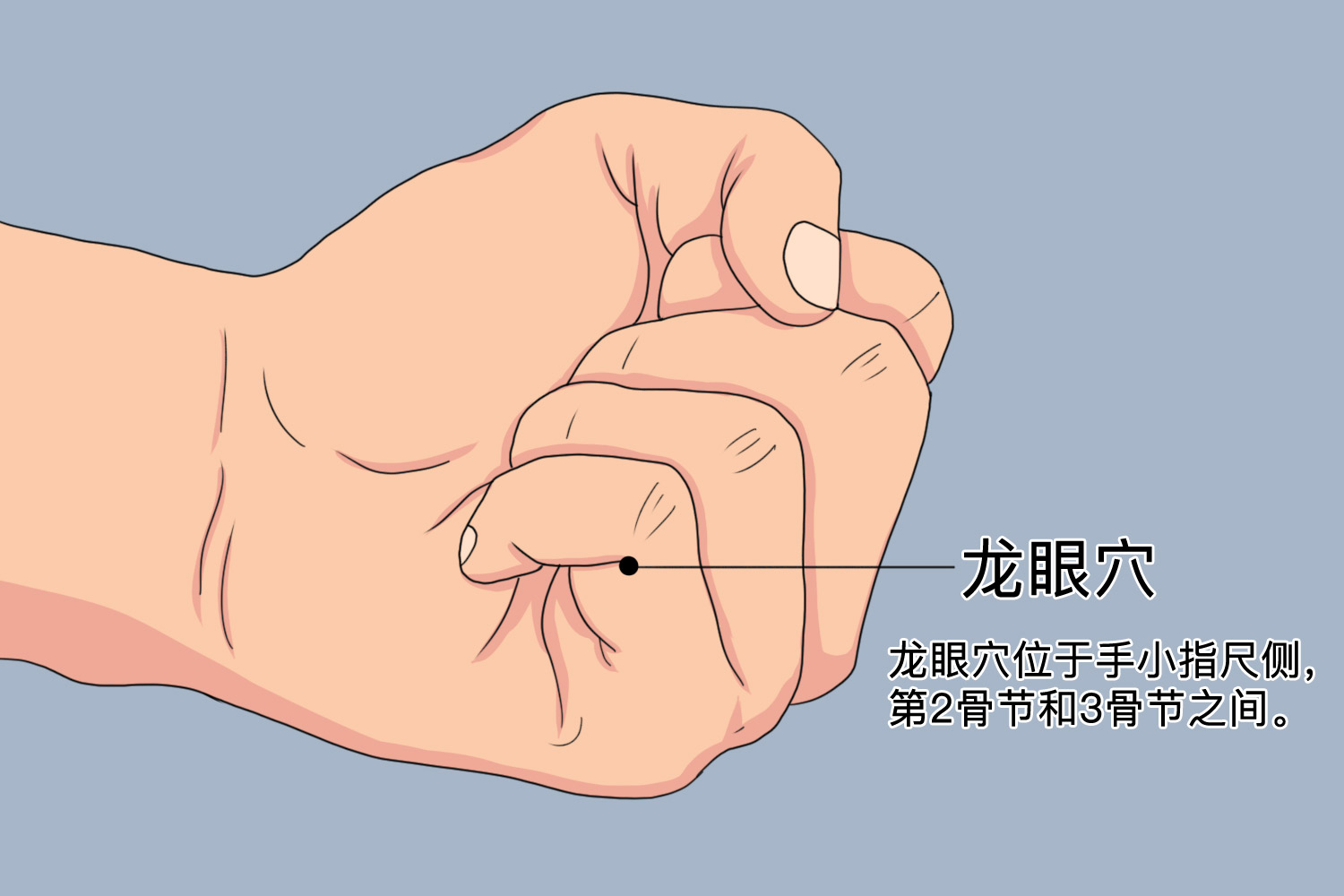 龙眼穴位置图