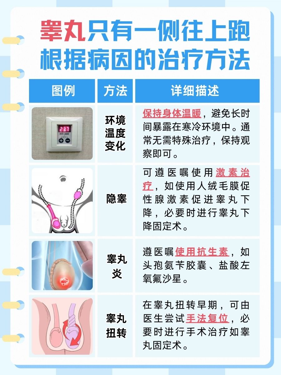 睾丸只有一侧往上跑是怎么回事？医生告诉你