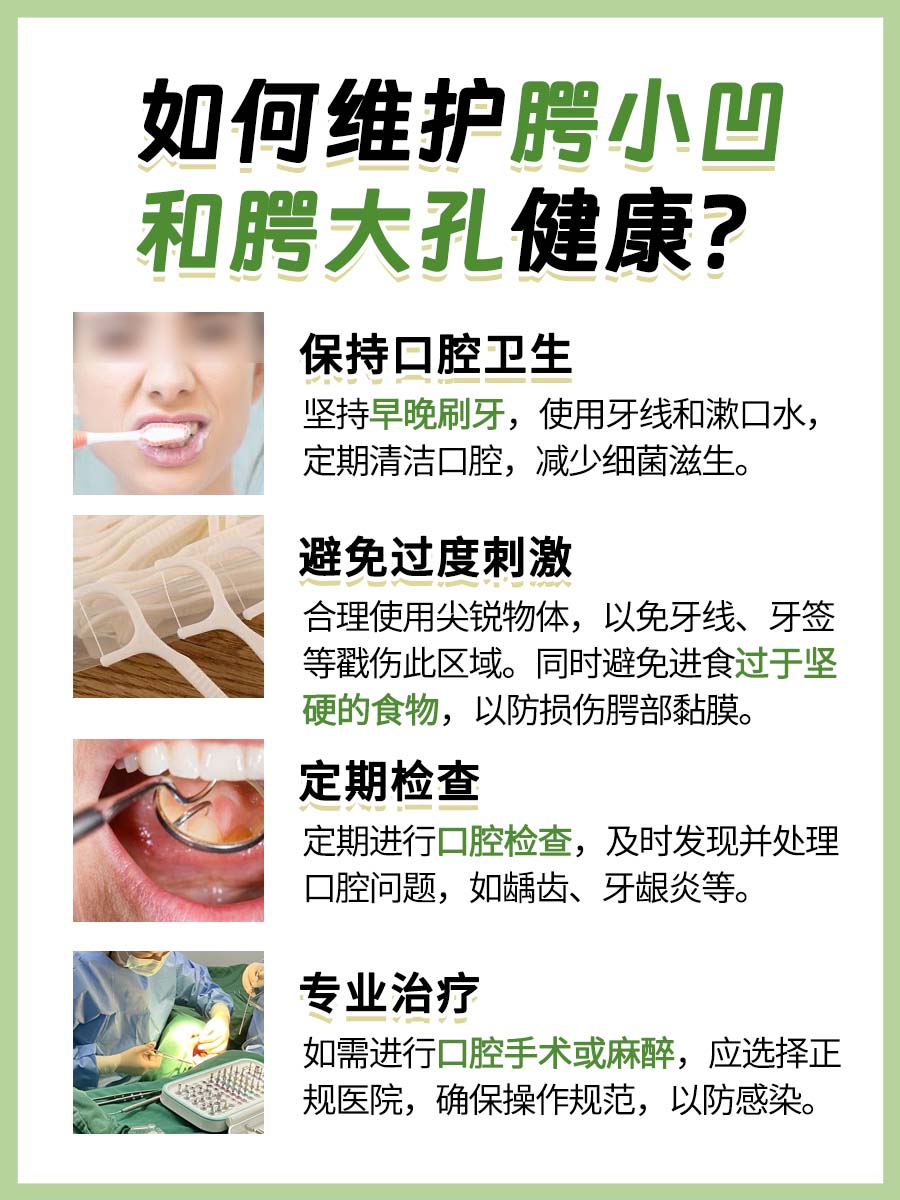 口腔上颚小孔，学名竟是这个！快来涨知识