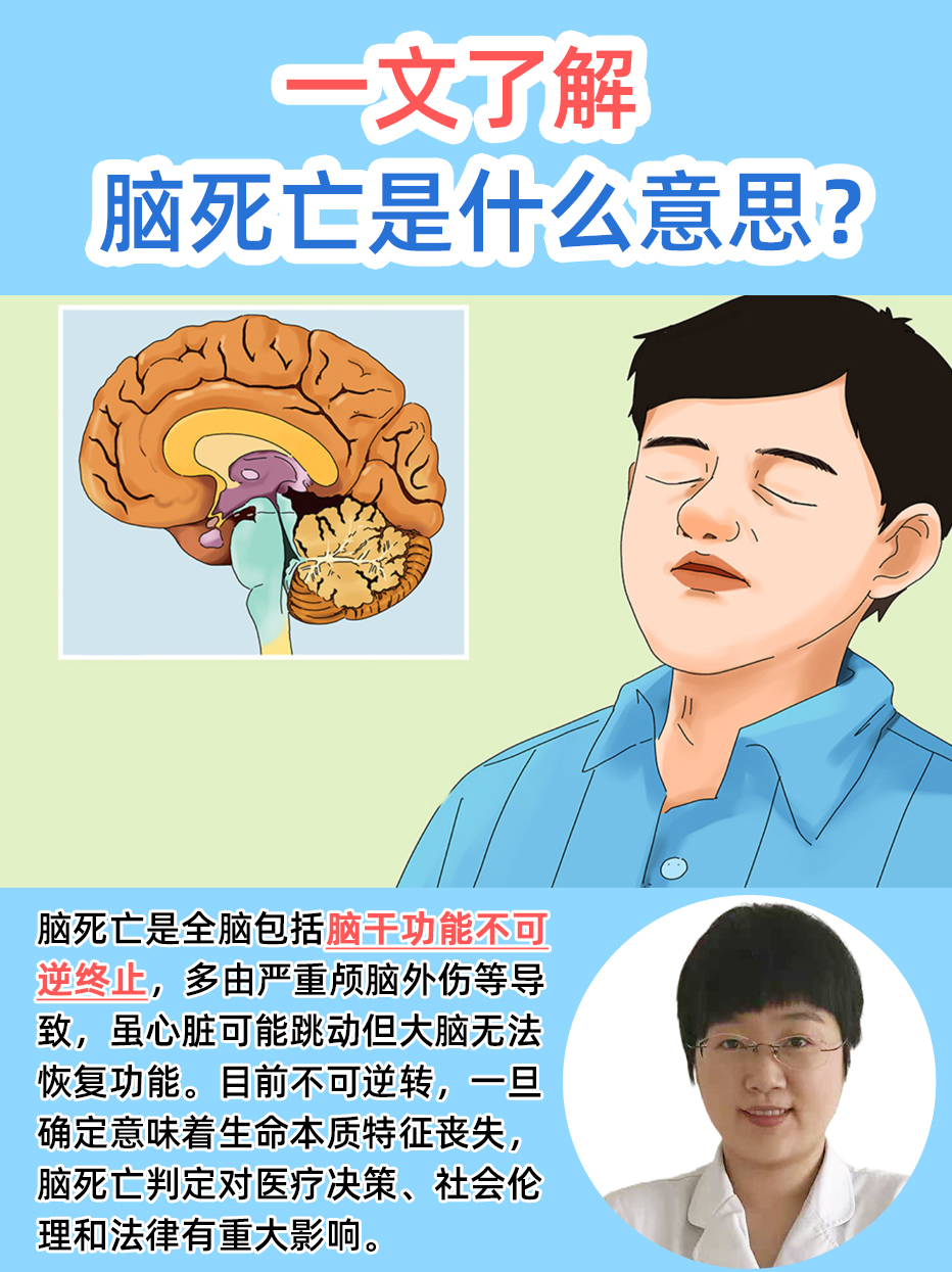 一文了解:脑死亡是什么意思?