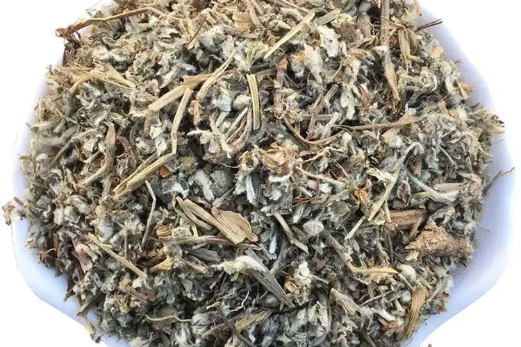 真正的翻白草药材图 真正的翻白草药材图