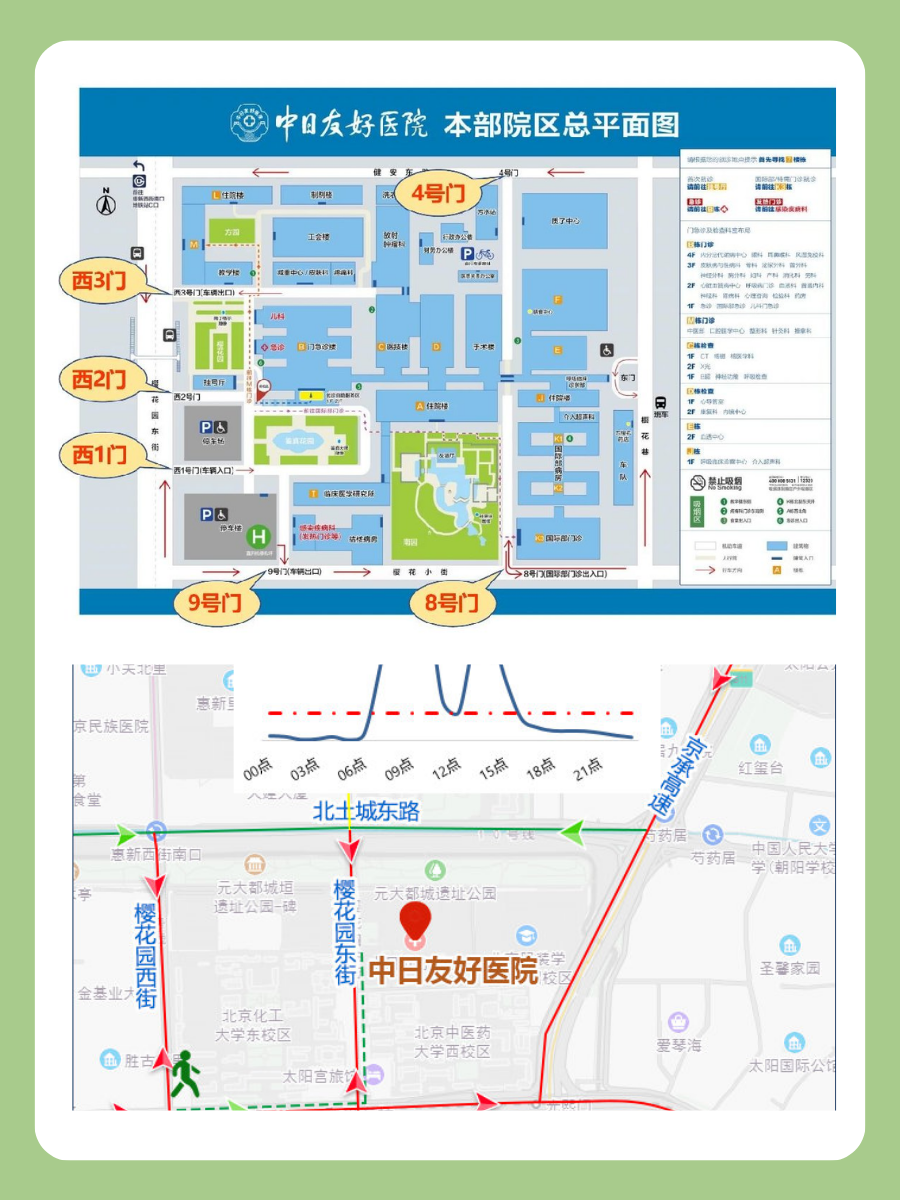 中日友好医院陈莉医生怎么样？怎么挂号？