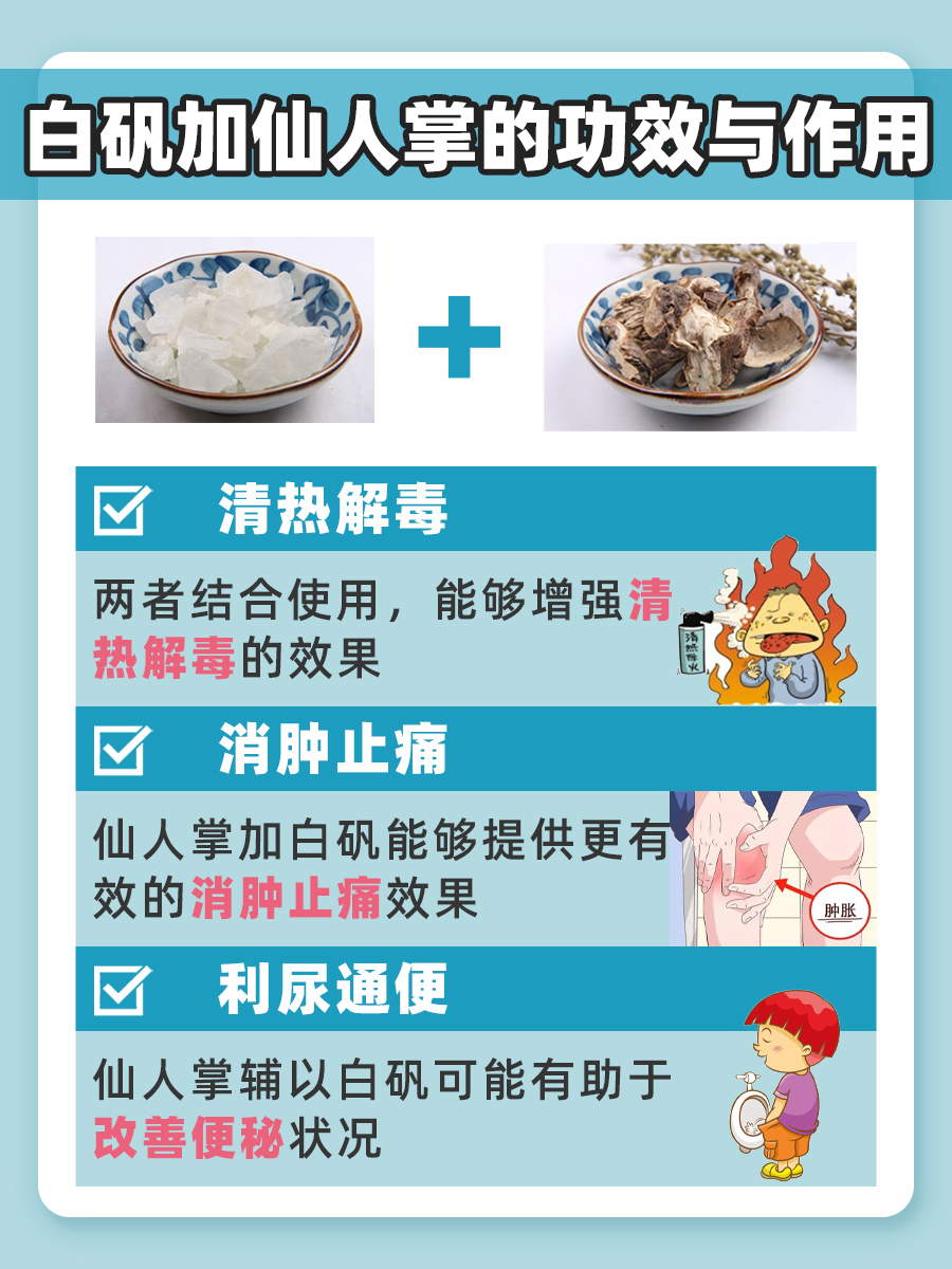 白矾+仙人掌:解锁其功效与作用 !