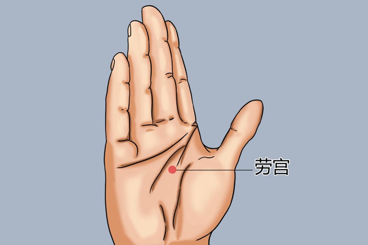 掌中支脉劳宫位置图