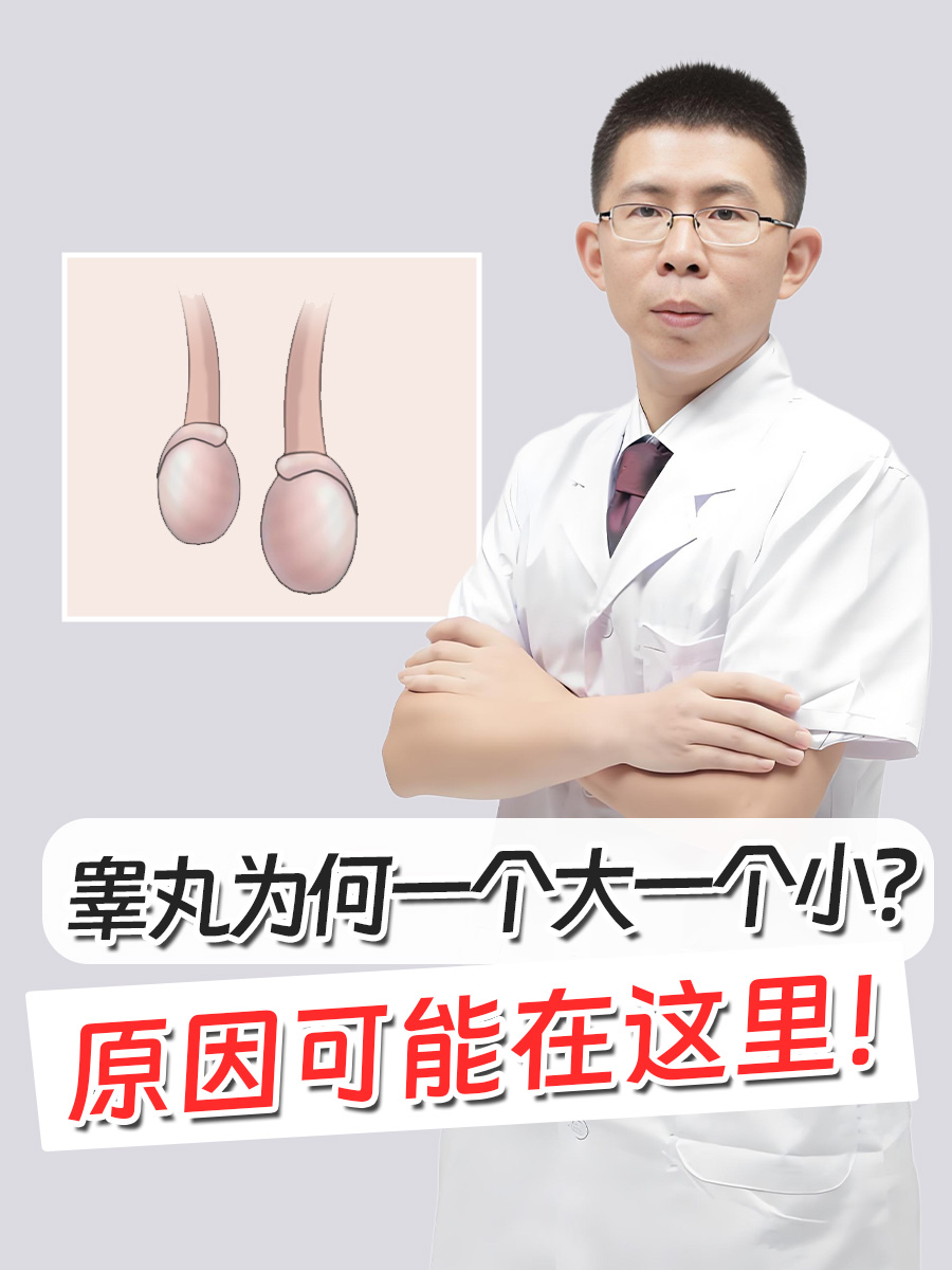 睾丸为何一个大一个小？原因可能在这里！