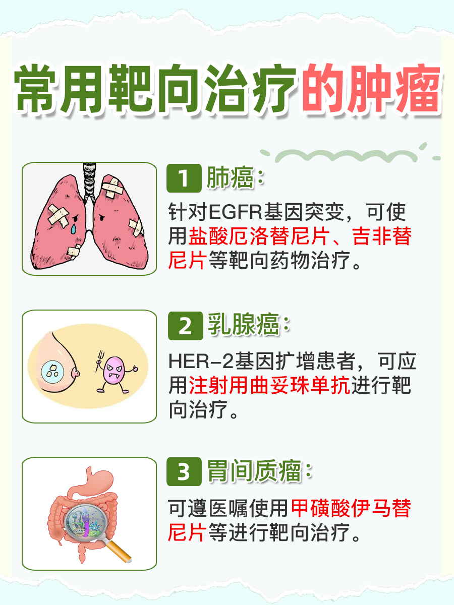 医生解答：靶向治疗针对哪种肿瘤？