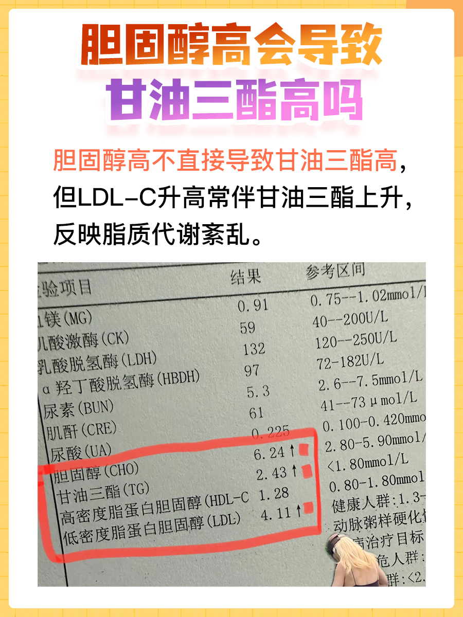 胆固醇升高是否会影响甘油三酯水平？