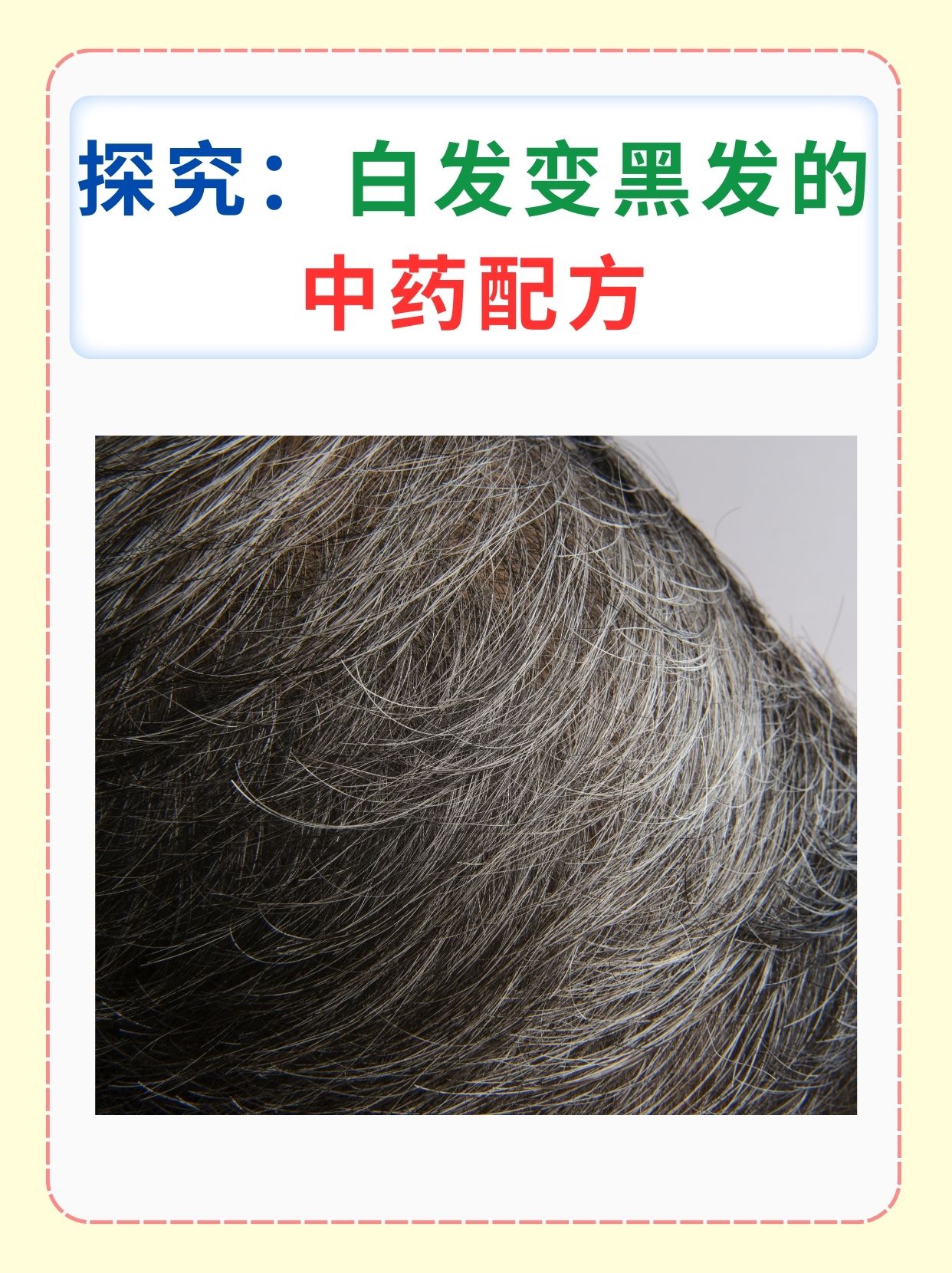 探究：白发变黑发的中药配方