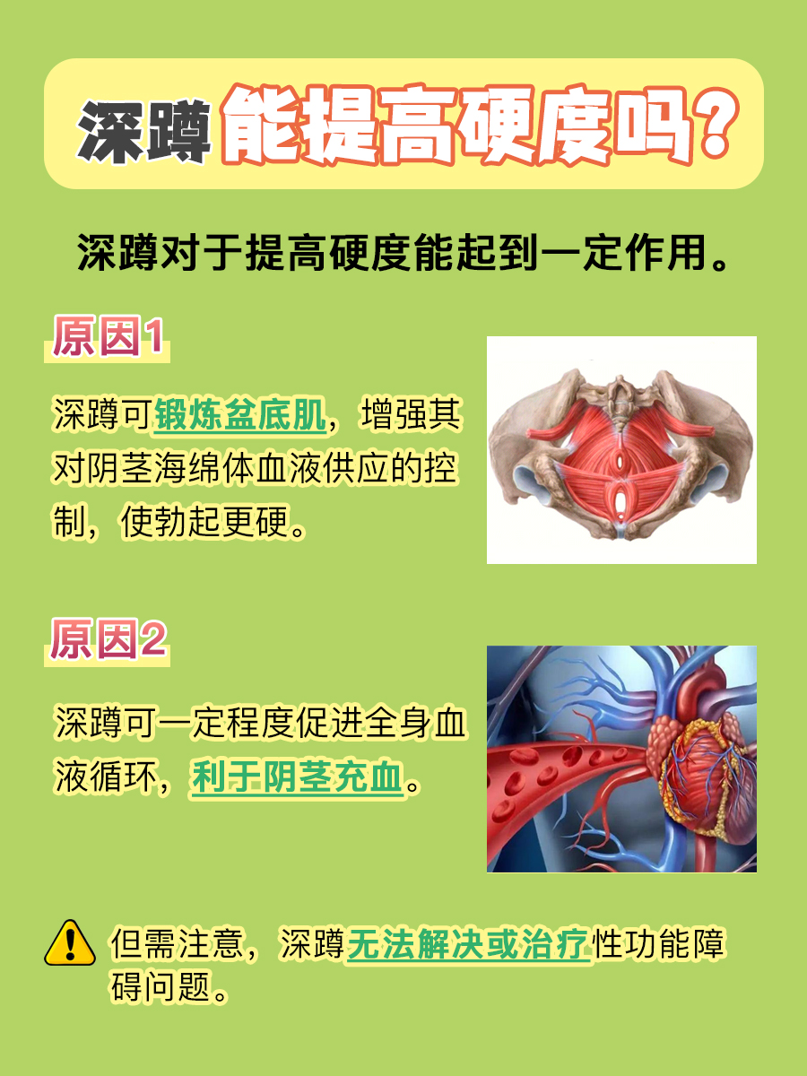 硬度不够,深蹲来凑?深蹲到底可不可以提高硬度