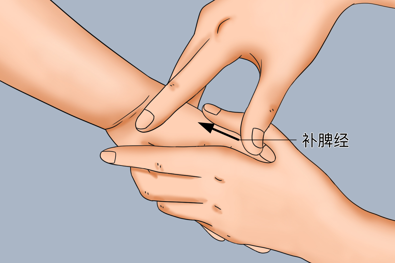 成人补脾经正确手法图 成人补脾经正确手法图