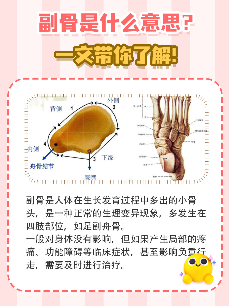 副骨是什么意思？一文带你了解！