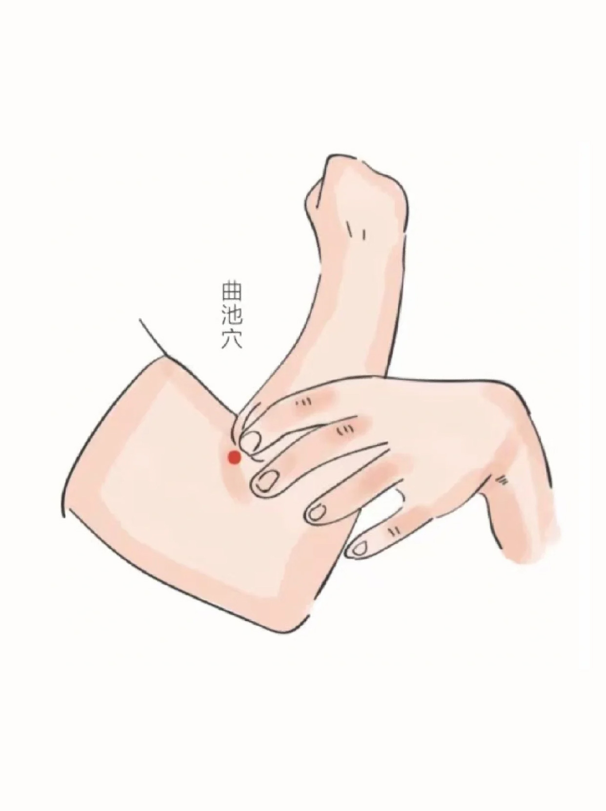 图文详解！告诉你曲池的准确位置！