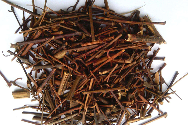 牛奶藤药材外观图